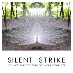 It's Not Safe to Turn Off Your Computer by Silent Strike