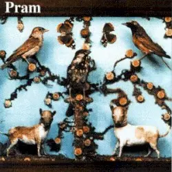 The Museum of Imaginary Animals by Pram