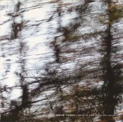 Speak No More About the Leaves by Steve Roden