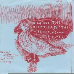 Three Brown Finches by Dirty Projectors