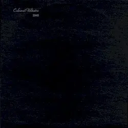 2×45 by Cabaret Voltaire