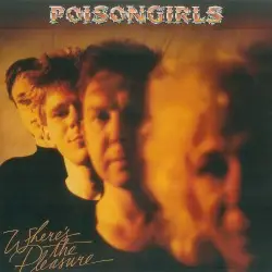 Where's the Pleasure by Poison Girls
