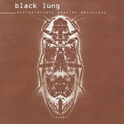Extraordinary Popular Delusions by Black Lung