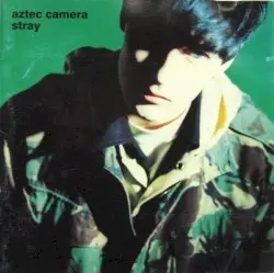 Stray by Aztec Camera