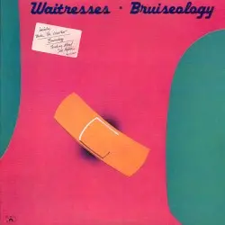 Bruiseology by The Waitresses