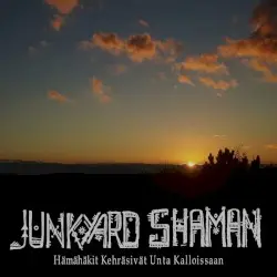 Hämähäkit kehräsivät unta kalloissaan by Junkyard Shaman