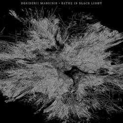 Bathe in Black Light by Desiderii Marginis