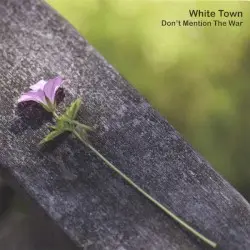 Don't Mention the War by White Town