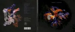 Shapeless by Trokut