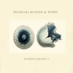 Radiolarians I by Medeski Martin & Wood