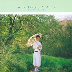 A Slice of Life by 大貫妙子