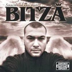 Sinuciderea Unui Inger by Bitză