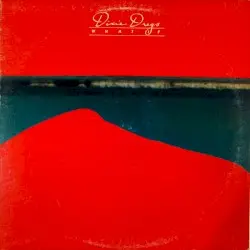 What If by Dixie Dregs