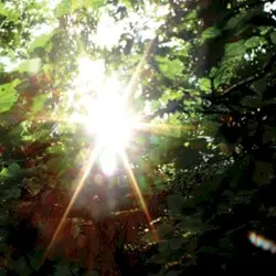 Summer Light by Ishq