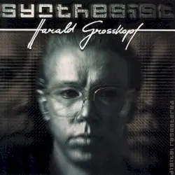 Synthesist by Harald Grosskopf