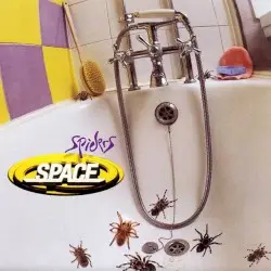 Spiders by Space