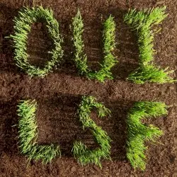 OUI, LSF by Les Savy Fav