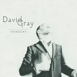 Foundling by David Gray