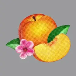 Bankrupt! by Phoenix