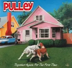 Together Again for the First Time by Pulley