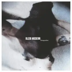 Antagonism by Bleib Modern