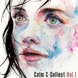 Calm & Collect Vol. 1 by Anitek
