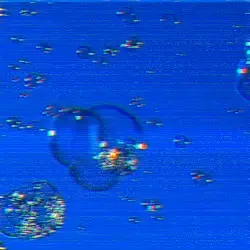 981B84011000 by channel 71
