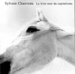 Le Livre noir du capitalisme by Sylvain Chauveau