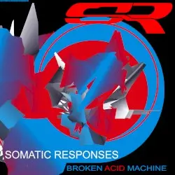 Broken Acid Machine by Somatic Responses