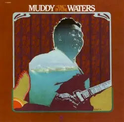 “Unk” in Funk by Muddy Waters