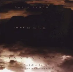 The Air Is on Fire by David Lynch