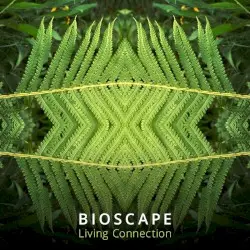 Living Connection by Bioscape