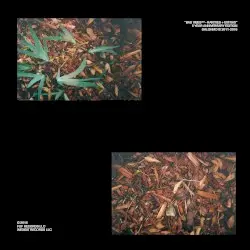 Bad Vibes - Rarities & Extras by Shlohmo