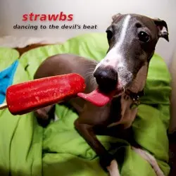 Dancing to the Devil's Beat by Strawbs