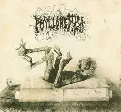 Wax Poetic by Phyllomedusa