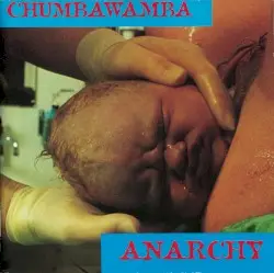 Anarchy by Chumbawamba