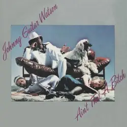 Ain’t That a Bitch by Johnny “Guitar” Watson