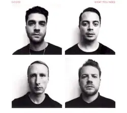 What You Need by GOOSE