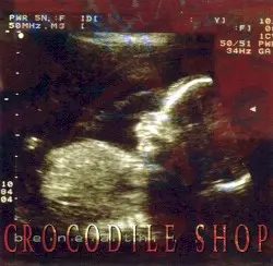 Beneath by Crocodile Shop