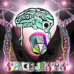 Quantum Crunk Theory by Space Jesus
