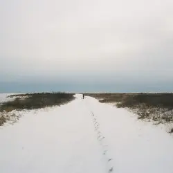 Lost by Constant Smiles