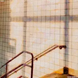 Lution by Blank Embrace