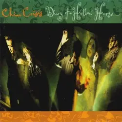 Diary of a Hollow Horse by China Crisis