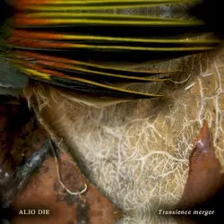 Transience Merger by Alio Die
