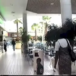 Requiem for Malls: Consumerism by Trademarks & Copyrights