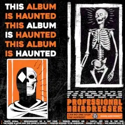 THIS ALBUM IS HAUNTED by Professional Hairdresser