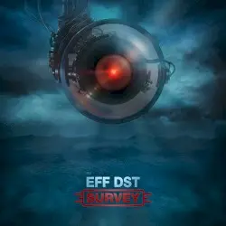 Survey by EFF DST