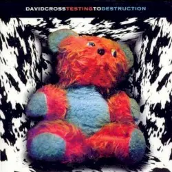 Testing to Destruction by David Cross