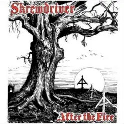 After The Fire by Skrewdriver
