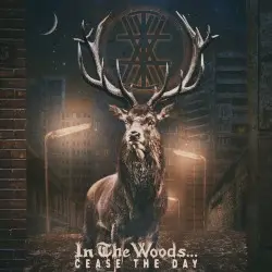 Cease the Day by In the Woods…